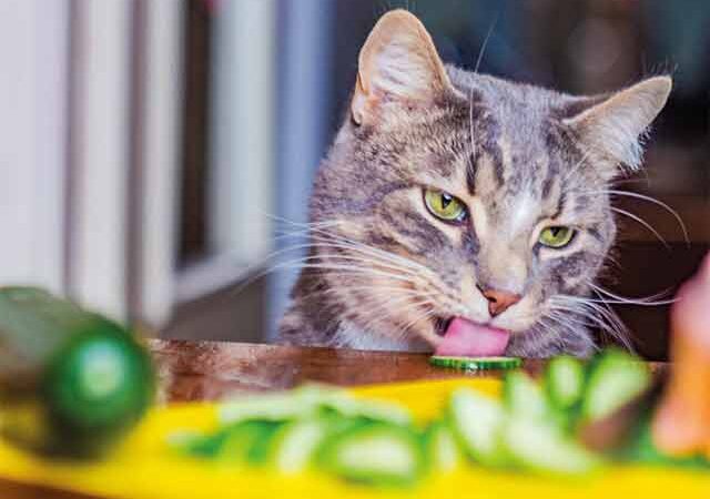 Provocarea „7 zile fără miros”: ești gata să câștigi?