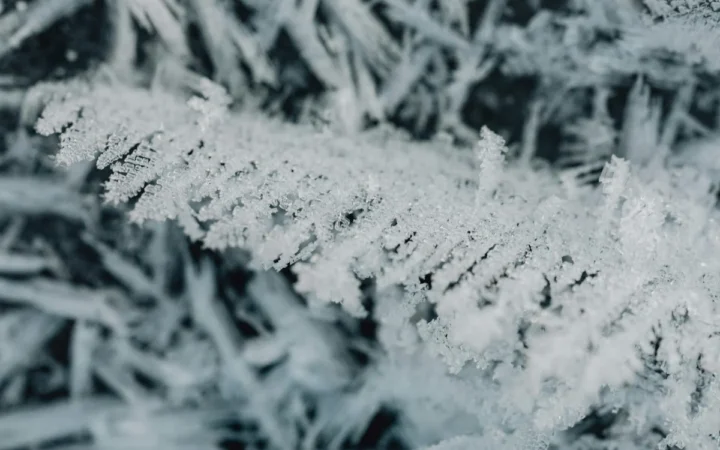 Val de Ger Polară și Coduri Galbene! ANM Avertizează: Temperaturile Scad Sub –20 de Grade
