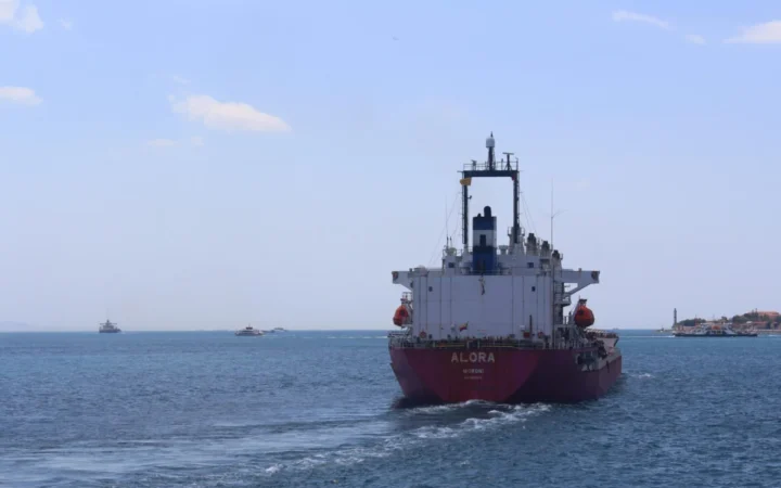 Patru Marinari Români Blocați pe MSC Francesca, Reținuți de Iran: Vieți Suspendate și Așteptare Sub Pază