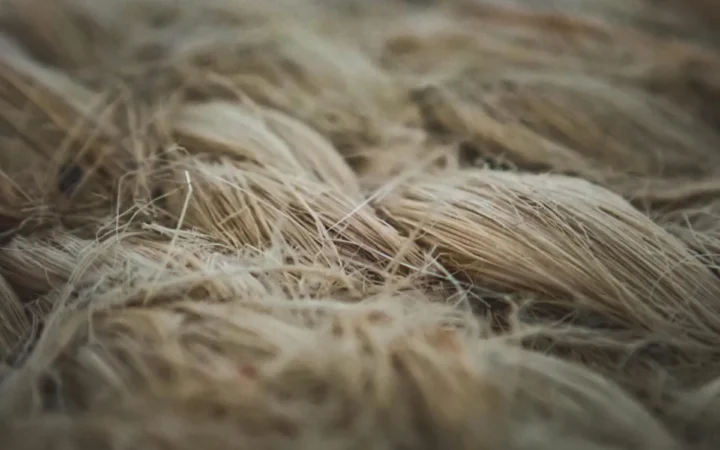 Semnalele tăcute ale digestiei: De ce nu trebuie să ignori problemele digestive zilnice