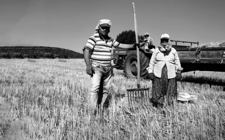 Bruxelles-ul Deschide Seiful: 540 de Milioane de Euro pentru Fermierii Loviti de Scumpirile la Îngrășăminte