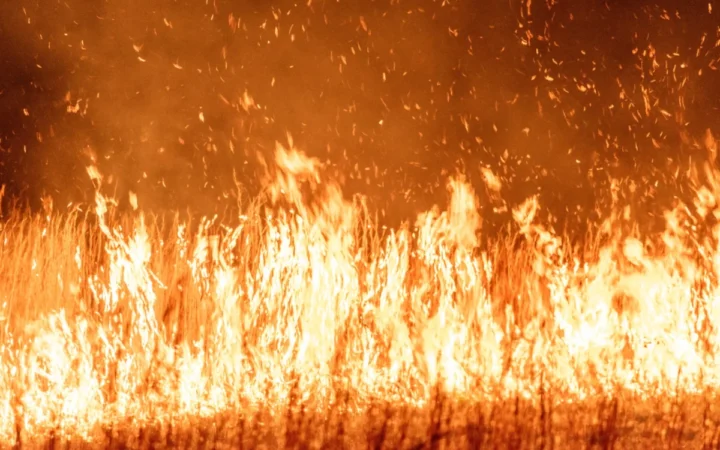 Evacuări istorice în Franța și Spania: peste 300.000 de oameni fug din calea incendiilor de vegetație