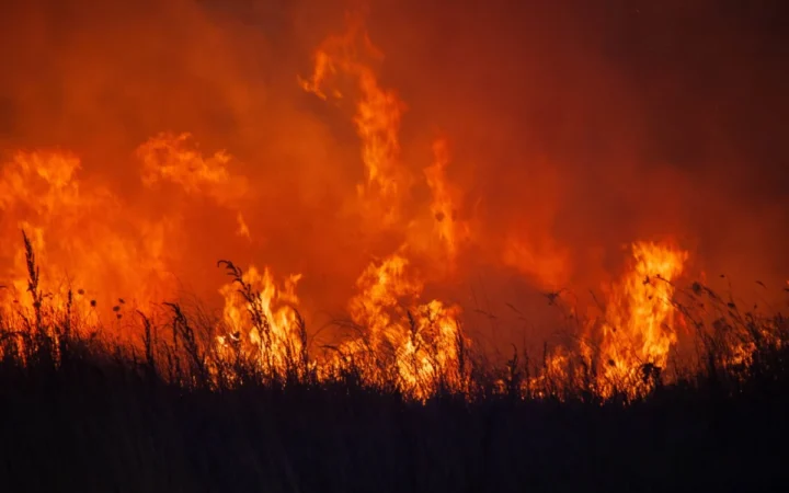 Stare de urgență în Franța și Spania: 270.000 de oameni evacuați din cauza incendiilor, zone turistice închise și intervenția armatei