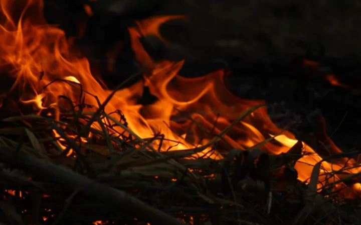 Schimbările climatice provocate de oameni au dublat riscul incendiilor forestiere extreme în Canada până în 2026, avertizează un studiu WWA