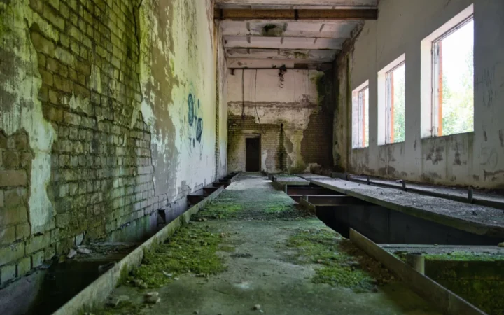 Cel Mai Mare Campus Școlar din Vestul Țării, Abandonat: 7 Milioane de Euro Pierdute la Nădlac