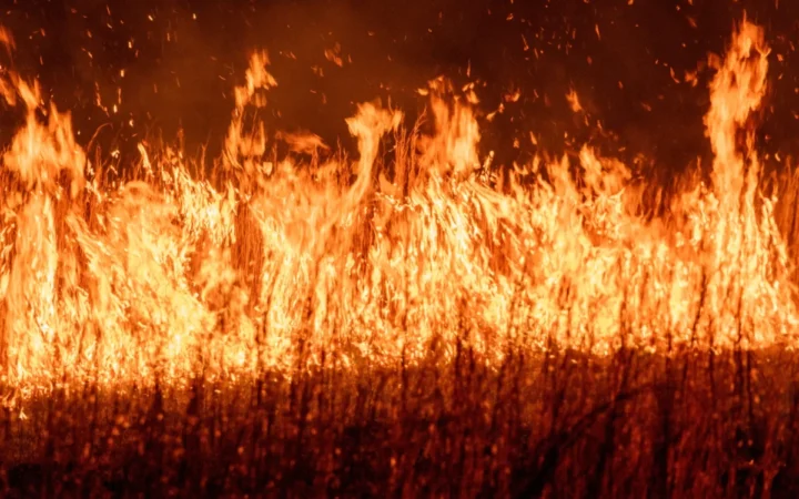 Cod roșu de caniculă extins în România: ANM avertizează temperaturi extreme de până la 41°C