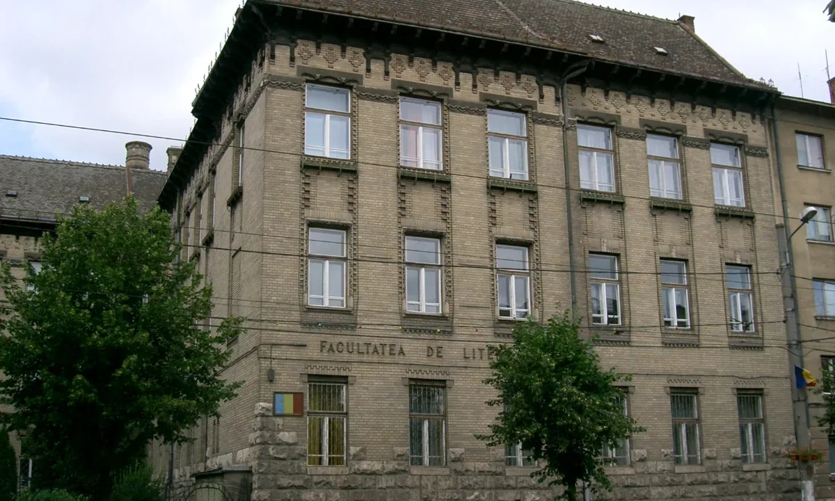 Software-ul, motorul din umbră al digitalizării în România