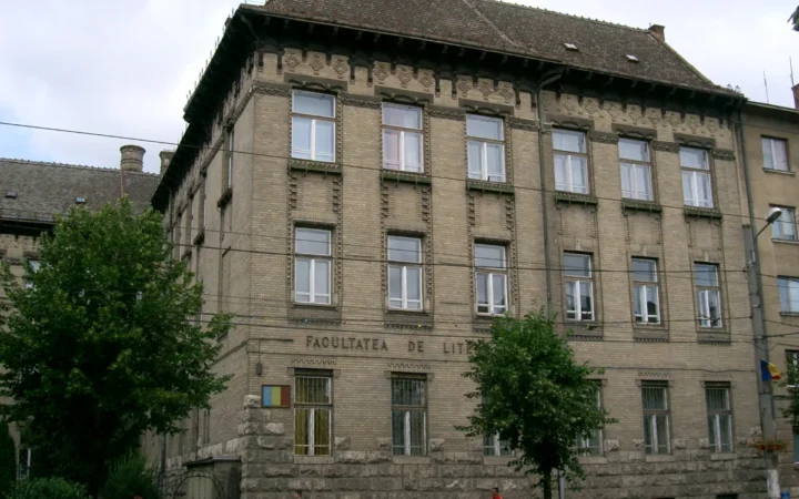 Software-ul, motorul din umbră al digitalizării în România