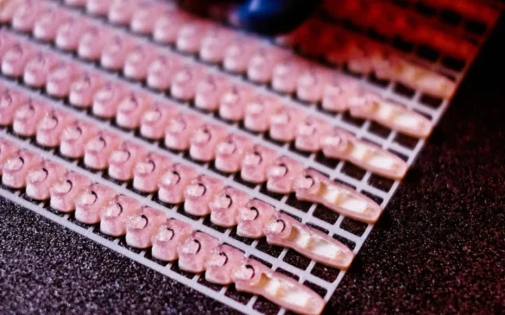 Hacker român celebru, fost condamnat în SUA, prins la Sinaia cu identitate italiană și plăcuțe diplomatice false
